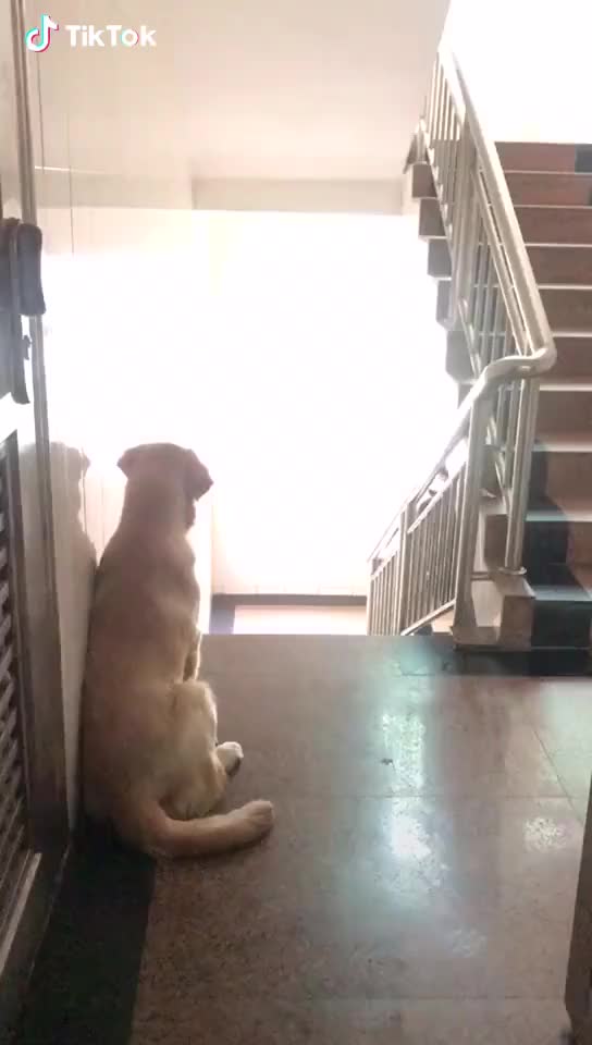 He's waiting for his bro