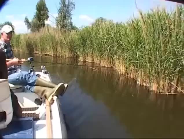 Going fishing
