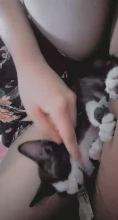 NSFW Pussy Thick gif