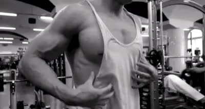 Muscle in the gym ...