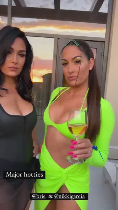 Brie Bella and Nikki Bella