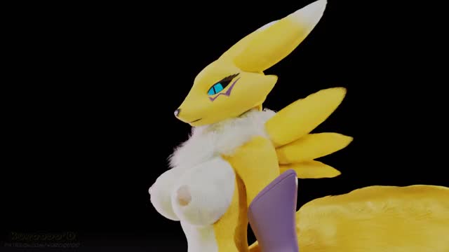 Your Renamon Animation