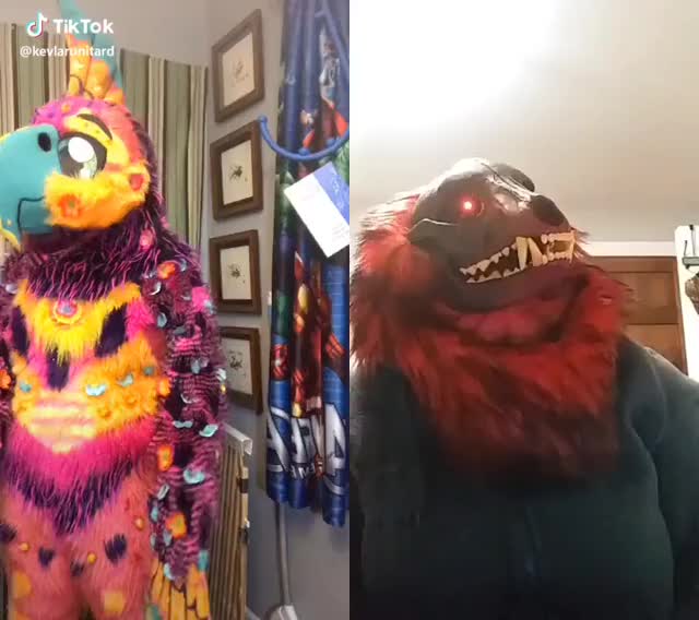 Poor Sha’di #duet with @malacodathehellhound #fursuiter #furry #parrot