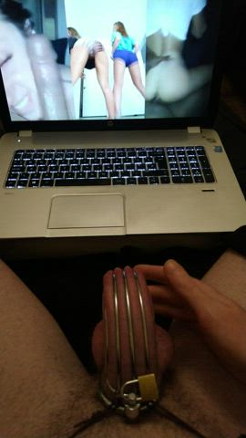 bbc ballbusting chastity cuckold humiliation pmv watching watchingporn gif