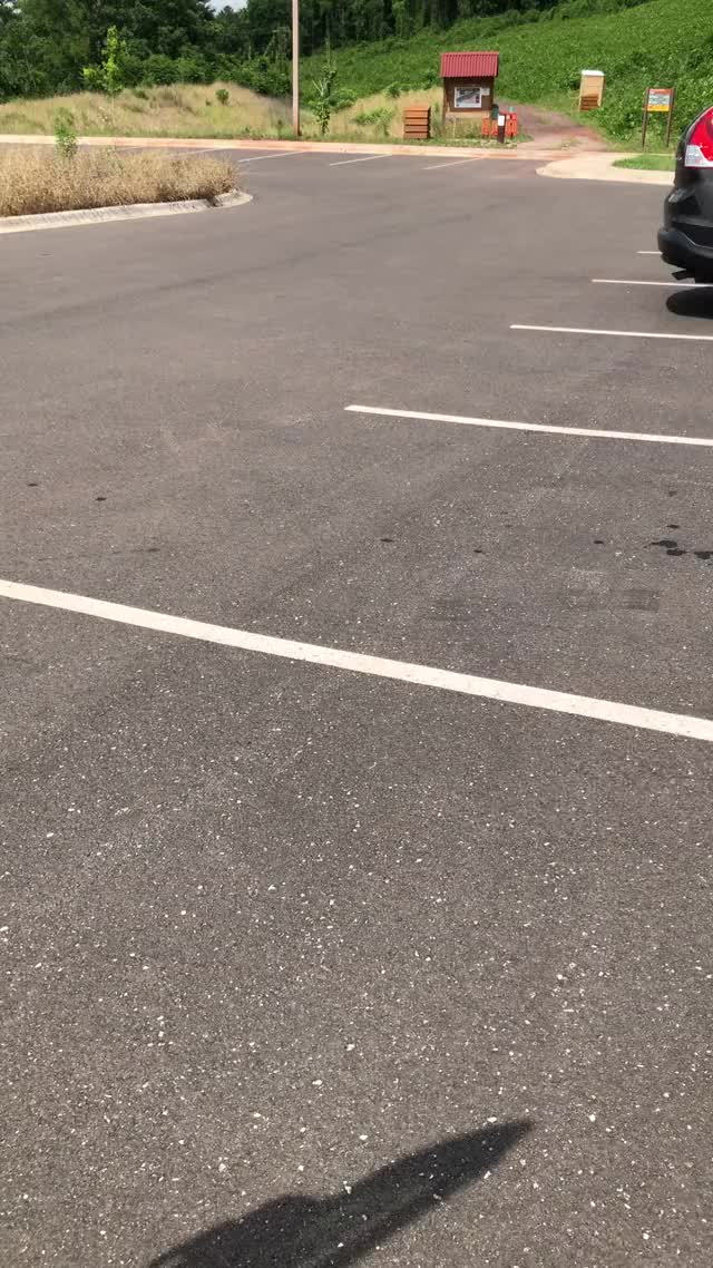 It was so hot out, I slipped into something more comfortable! [GIF] [OC]
