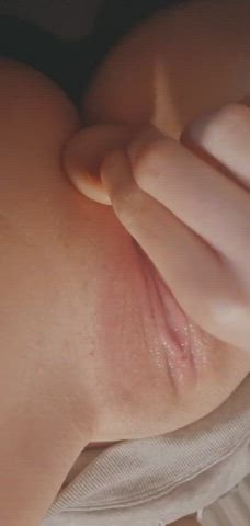 Butt Plug Pussy Shaved gif