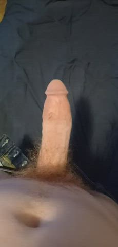 My Big Fat Cock