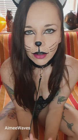 alt brunette costume halloween kitty leash lingerie milf tattoo gif