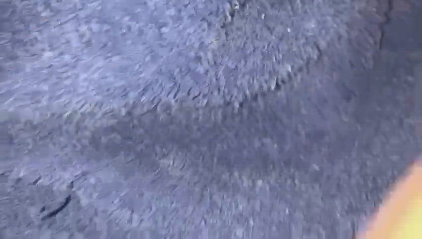 Pussy Shower Towel gif