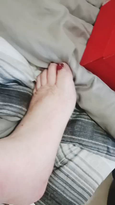 feet feet fetish feet sucking gif