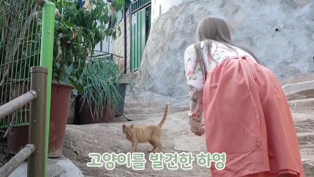 Hayoung gets rejected by a cat