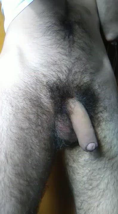 Foreskin Hairy Hairy Cock Solo Uncut gif