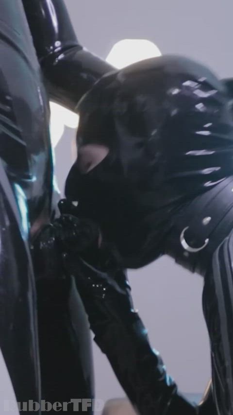 bdsm blowjob college fetish gay latex latex gloves oral rubber twink gif