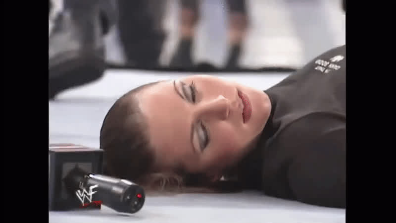 Brunette Stephanie McMahon Wrestling gif
