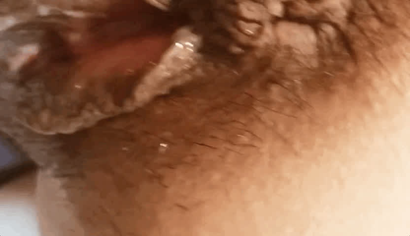 breeding creampie dripping gif