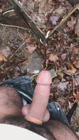 cock gay public gif