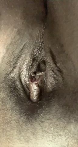 BBW Ebony Hairy Pussy Pussy Spread gif