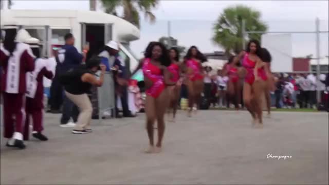 South Carolina State Champagne Dancers 2