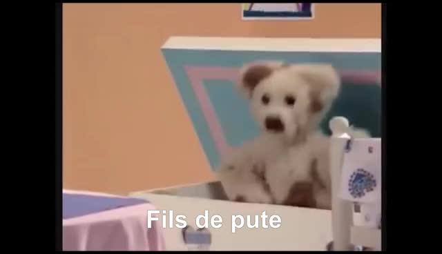 Nounours se fait expulser d'Internet [YTP]FR