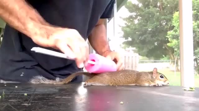 rAt cOoKeD iNtO lOaF oF bReAd fOr sTaRvInG fAmIly!!