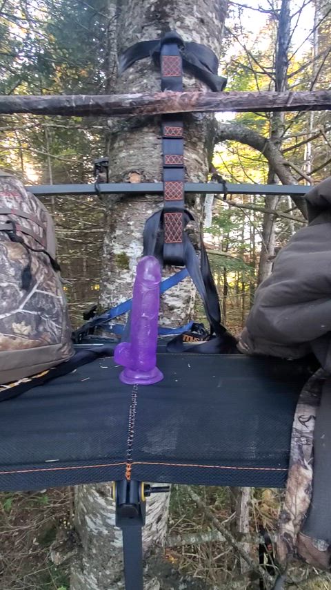 Going to be an interesting evening sit tonight! 💜🦌🏹