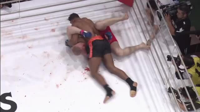 Alistair Overeem knees Sergei Kharitonov