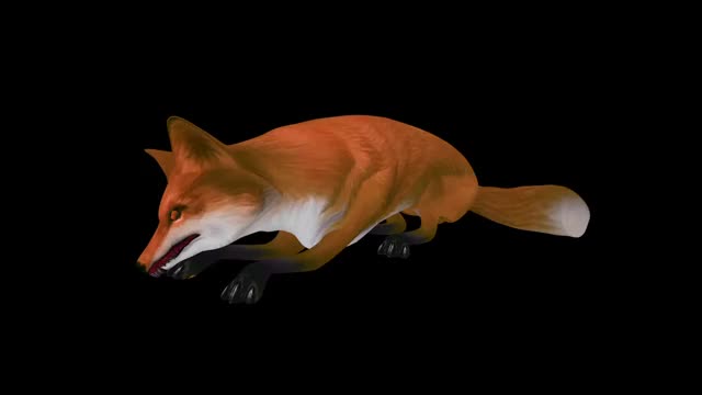 foxsleep