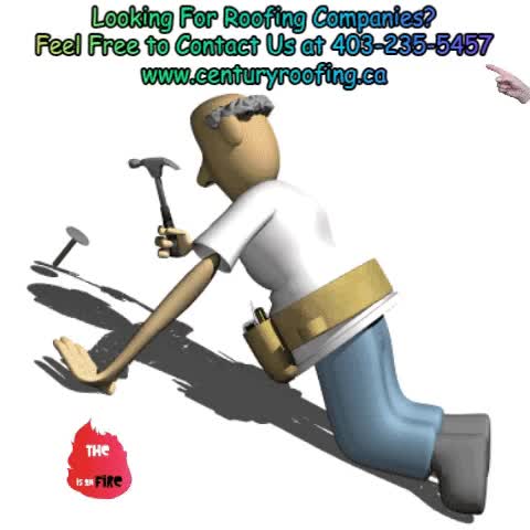 Roofing Companies