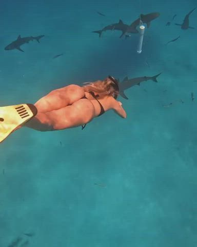 big ass bikini blonde dirty blonde pawg swimsuit tanlines thick thong gif
