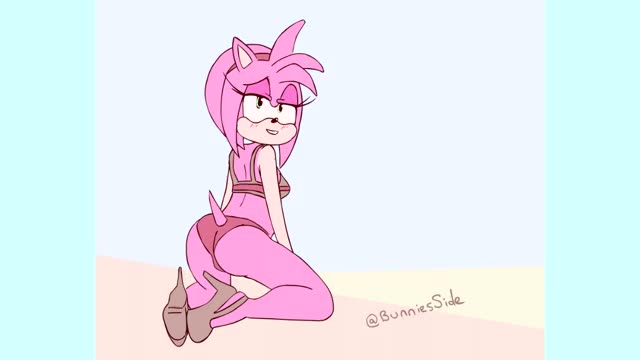 Amy Rose Underwear