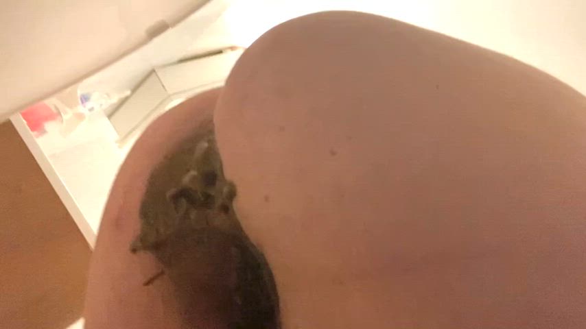 fart fetish fetish toilet gif