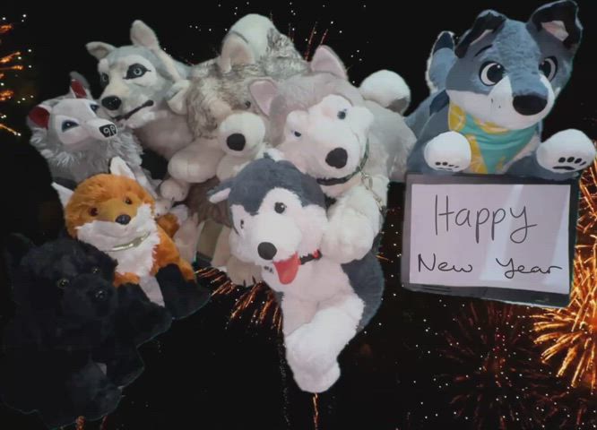 🎉 Happy New Year From All My Cewtie Plushies :3 ^w^ 