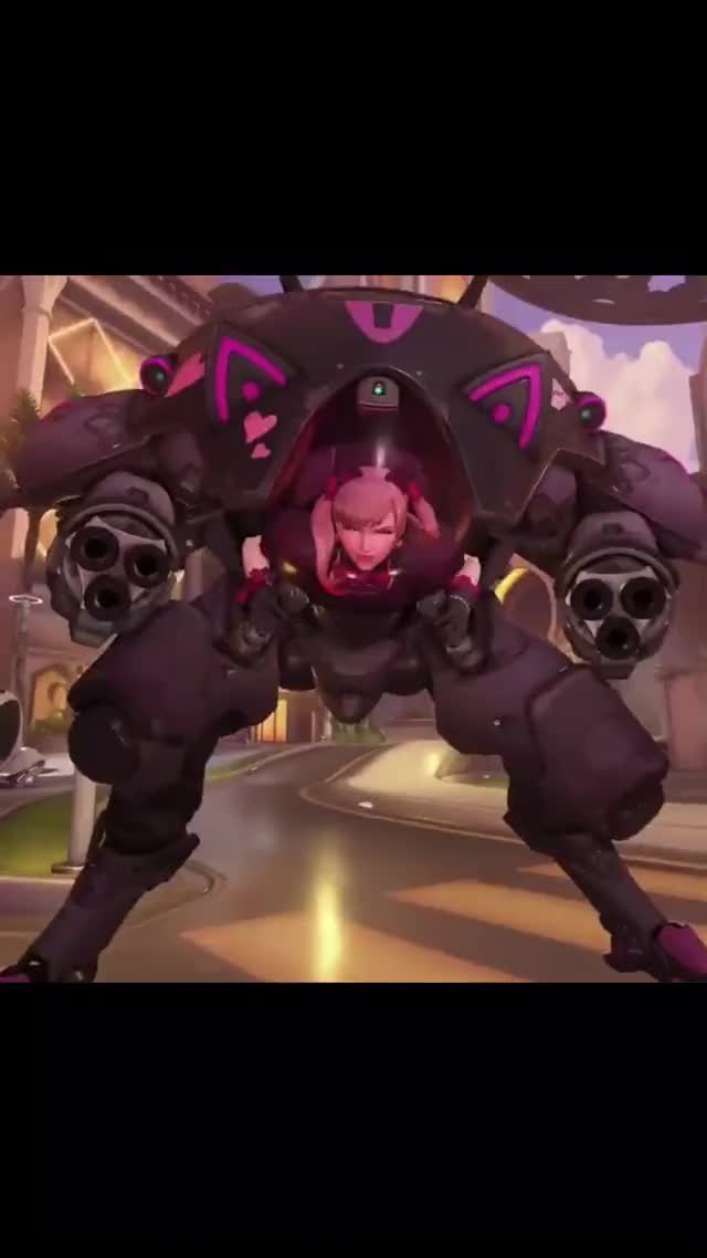 Black Cat DVA