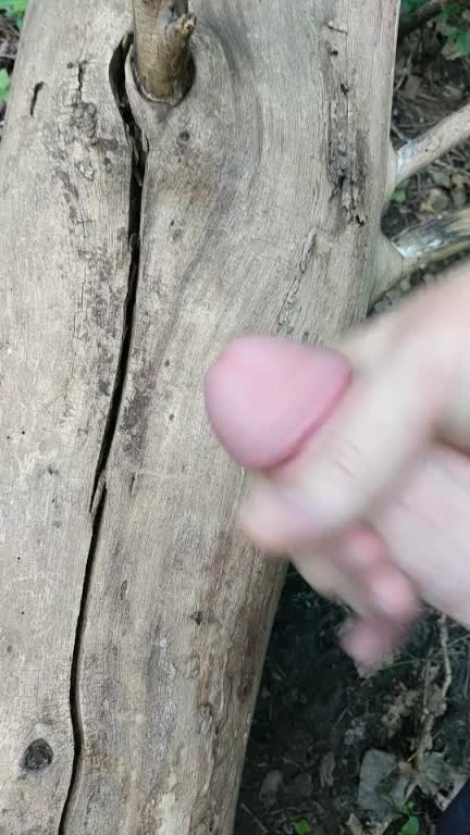 Went for a walk near my house and decided to jerk off and cum on a tree.