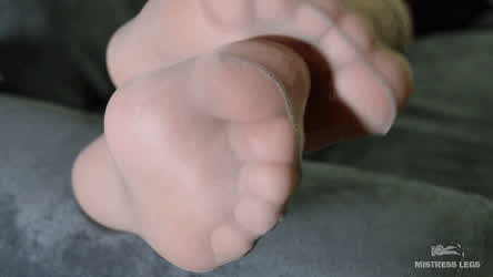Feet Feet Fetish Foot Fetish Goddess Nylon Soles Stockings Toes gif