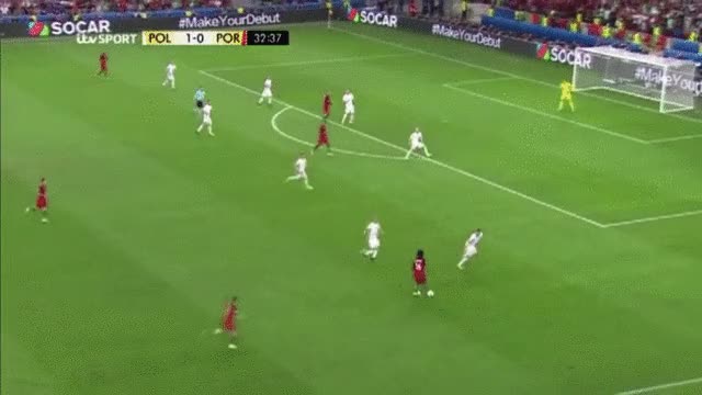 Pologne Portugal 1-1 Sanches
