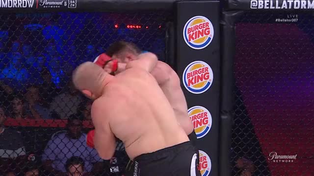 Roy Nelson vs. Sergei Kharitonov