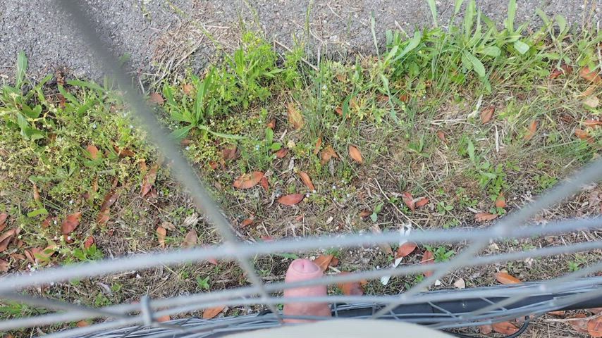 Uncut cock pissing through a fence