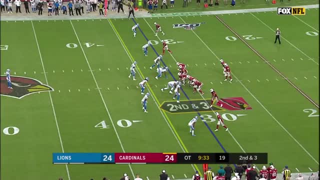 Lions v Cardinals Fitzgerald catch