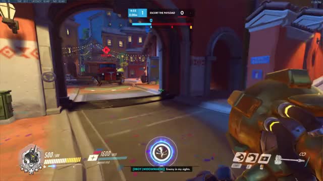 rein payload bot dorado