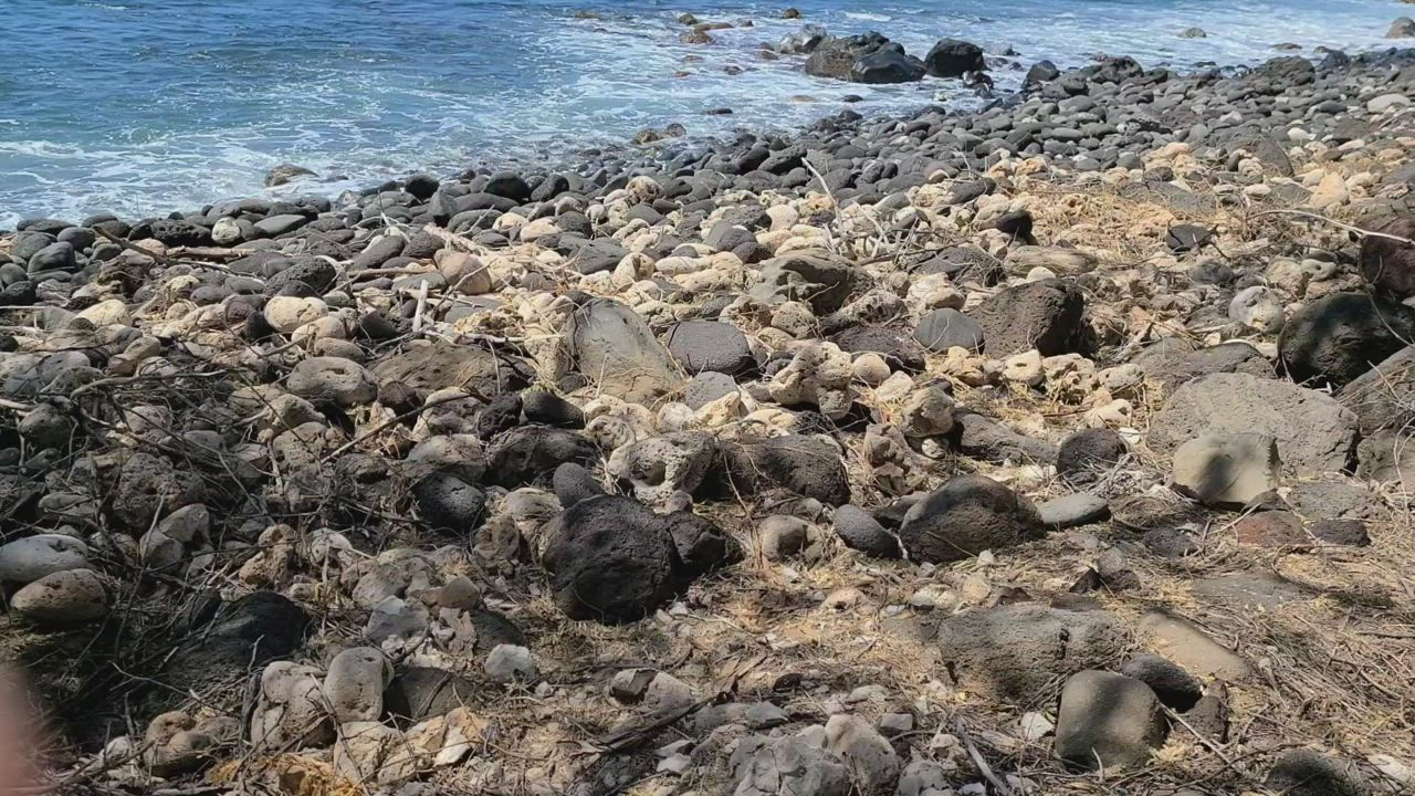 Beach side blowjob. Best vacation ever. (Oc) [gif]