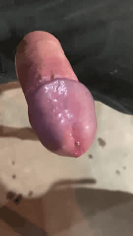 Big Dick Cock Daddy gif