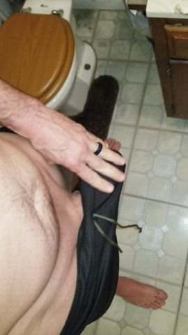 bwc big dick cock thick gif