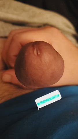 BWC Cock Edging Male Masturbation Masturbating Mutual Masturbation Precum Solo gif