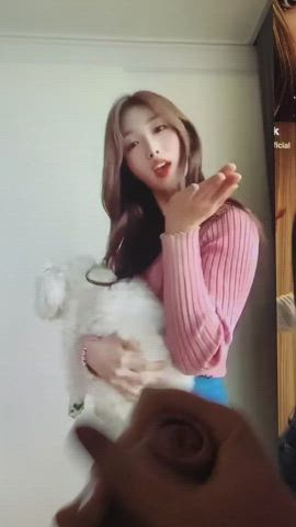 Everglow Sihyeon birthday cum tribute