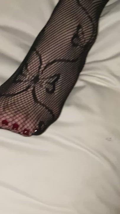 Feet Fetish Fishnet Stockings gif