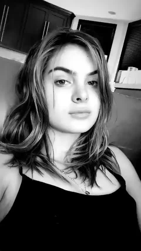 Brighton Sharbino