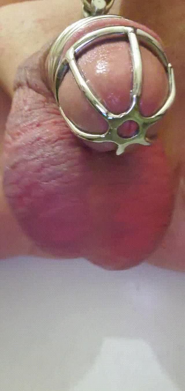 Chastity balls1