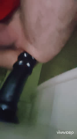anal dildo webcam gif