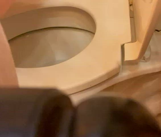 onlyfans petite piss pissing pussy solo toilet gif